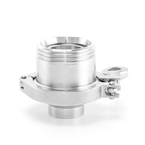 Male-Thread / Weld-End Check Valve