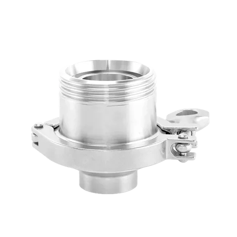 Male-Thread / Weld-End Check Valve