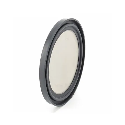 Tri-Clamp Screen Gasket
